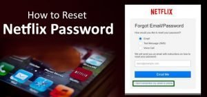 Change Your Netflix Password Or Reset It - Techzerg